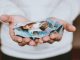 Fördelar med att investera i crowdfunding-plattformar illustration